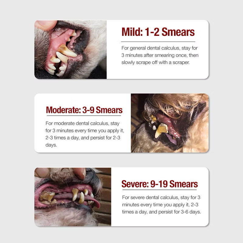 Pet Teeth Cleaning Kit