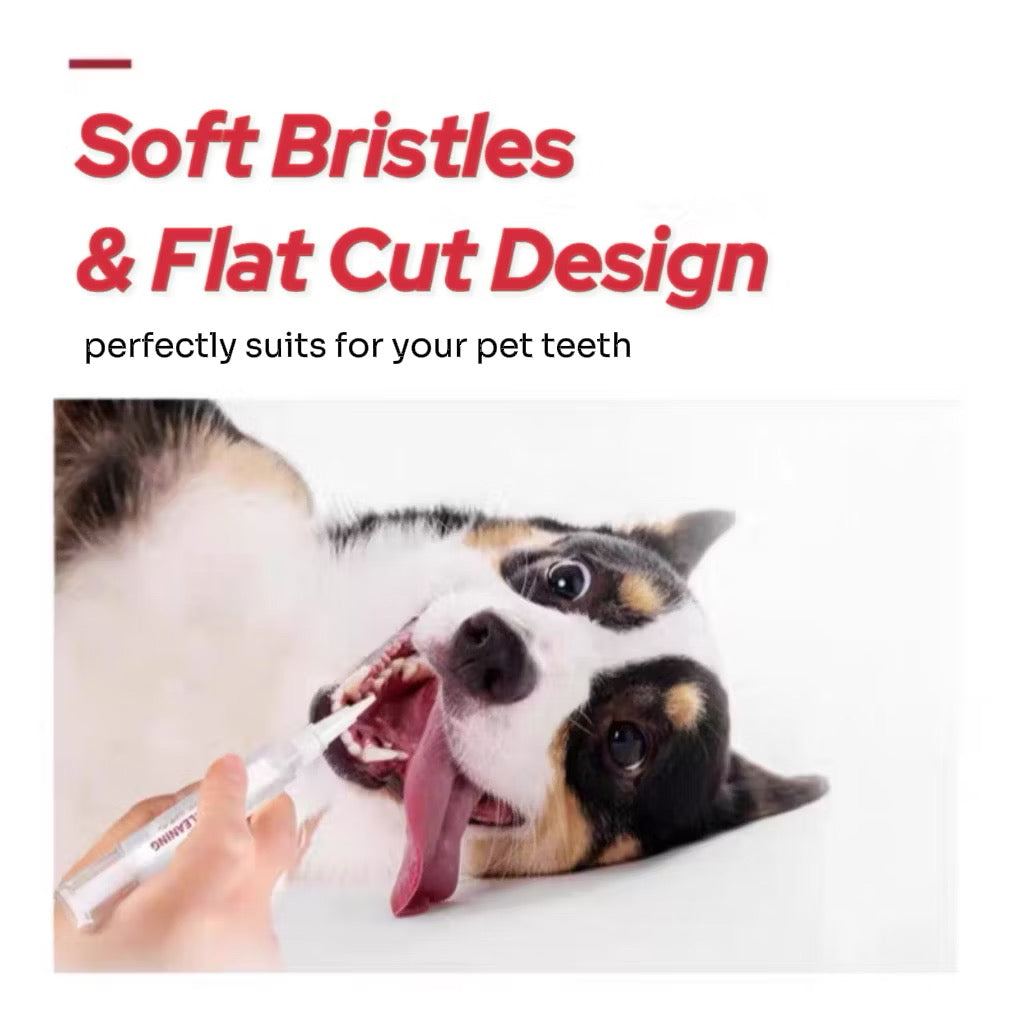 Pet Teeth Cleaning Kit