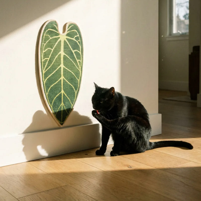 Alocasia Leaf Cat Scratcher (2 Designs)
