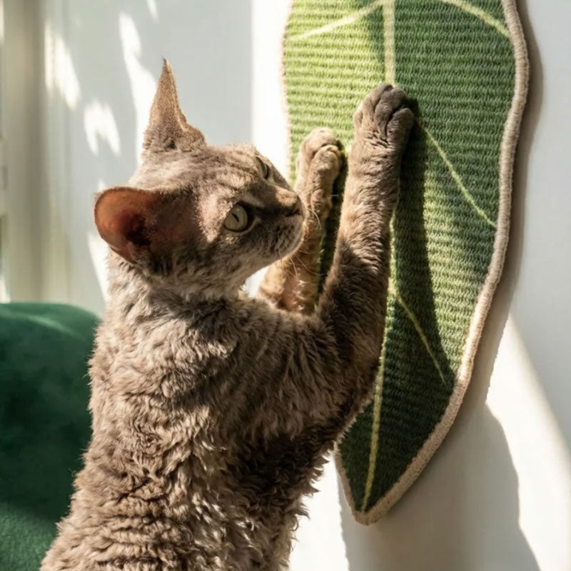 Alocasia Leaf Cat Scratcher (2 Designs)