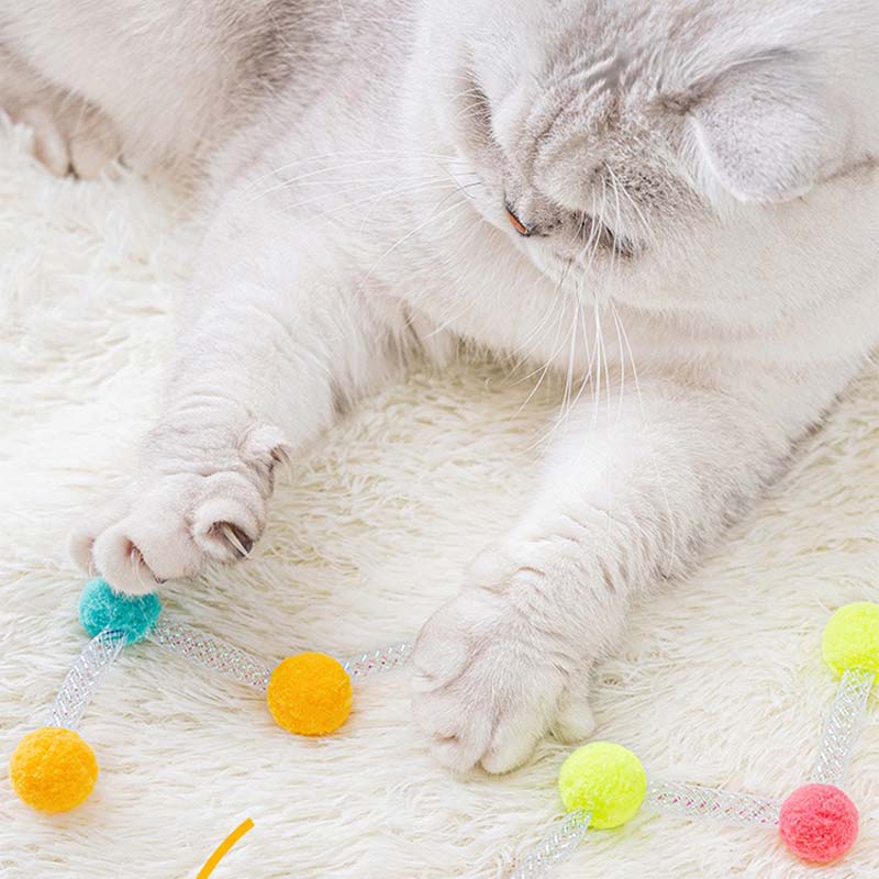 Bouncy Bopper Cat Toy