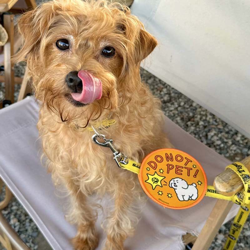 Doggo Social Wappen Velcro Patch (7 Designs)