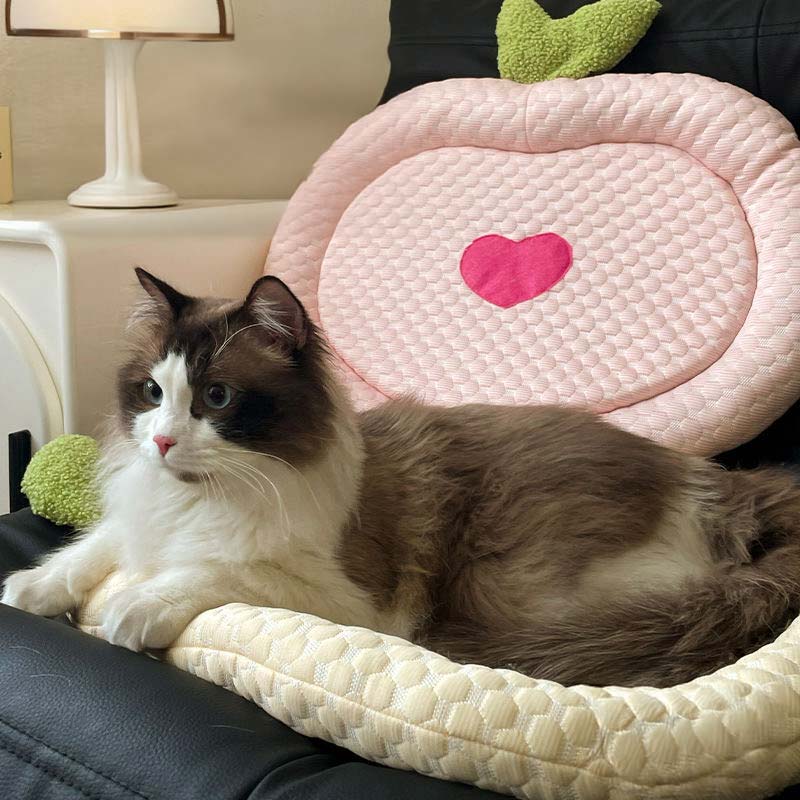 Fruity Cooling Cushion (3 Designs)