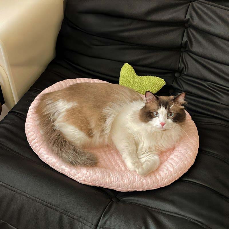 Fruity Cooling Cushion (3 Designs)