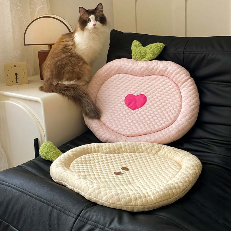 Fruity Cooling Cushion (3 Designs)