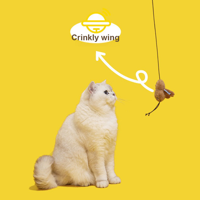 Roach Ruckus Cat Teaser