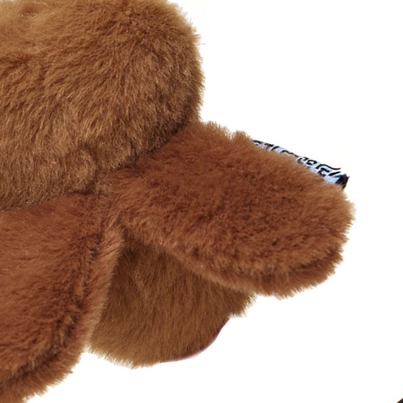 Roach Ruckus Cat Teaser