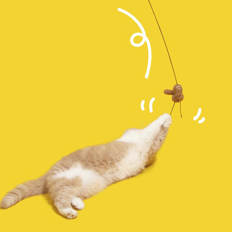 Roach Ruckus Cat Teaser