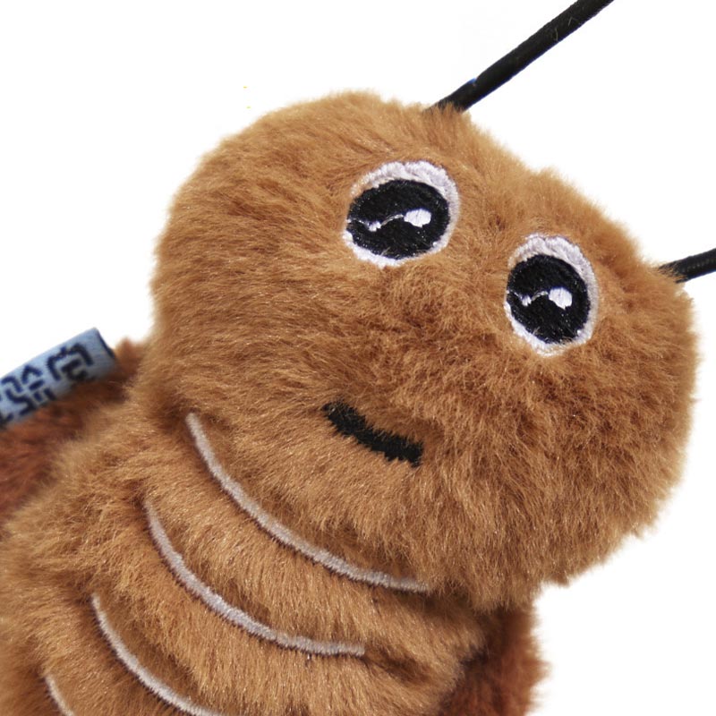 Roach Ruckus Cat Teaser