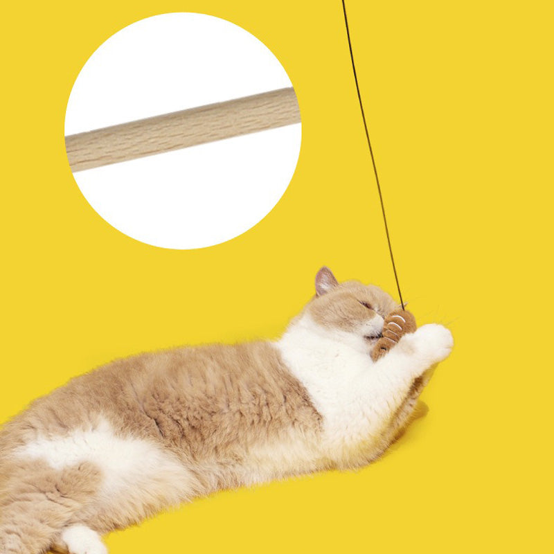 Roach Ruckus Cat Teaser