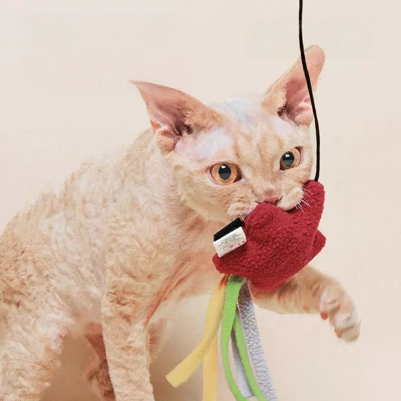Minus One Eco-Friendly Weather Friend Cat Wand (4 Designs)