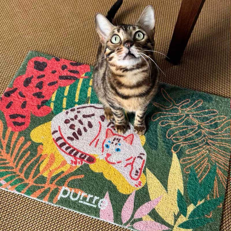 Feline Jungle Cat Litter & Door Mat