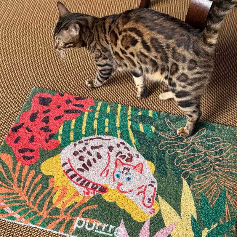 Feline Jungle Cat Litter & Door Mat
