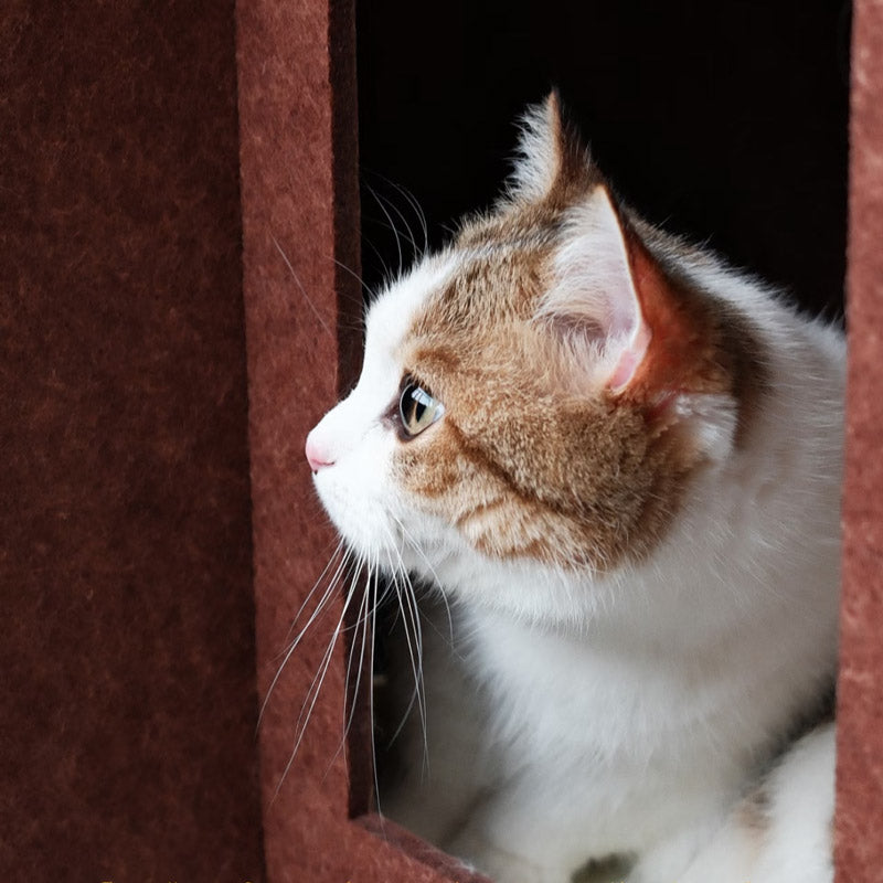 Nooko Cat House (2 Colours)