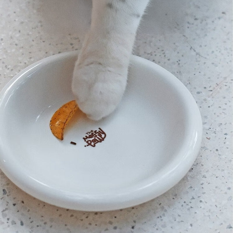 Halo Ceramic Pet Bowl (12 Colours)