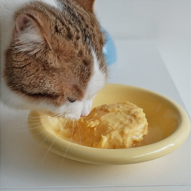 Halo Ceramic Pet Bowl (12 Colours)