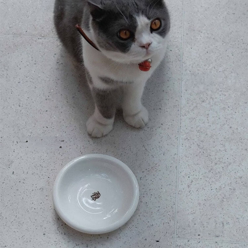 Halo Ceramic Pet Bowl (12 Colours)