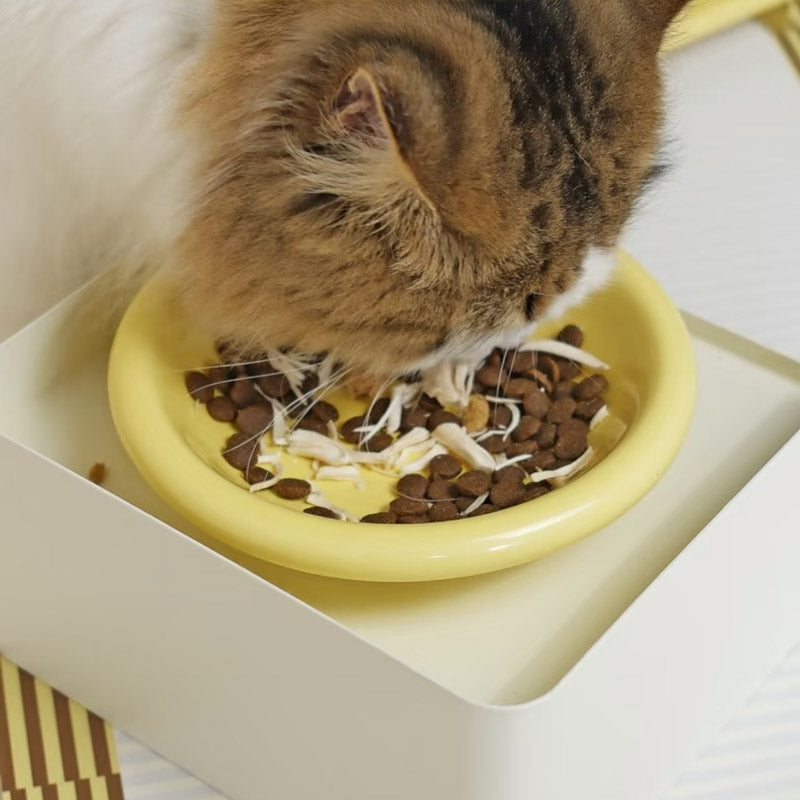 Flip Bowl Stand (3 Colours)