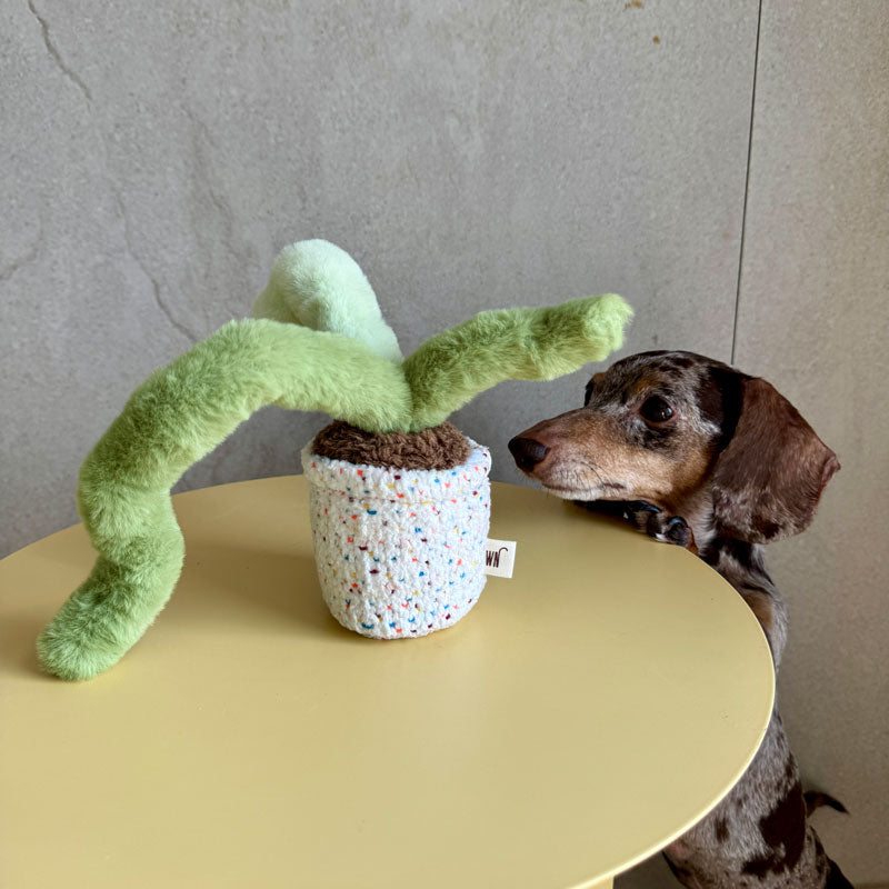 Pot Series Dog Nosework Toy (6 Designs)