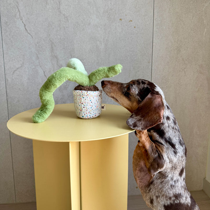 Pot Series Dog Nosework Toy (6 Designs)