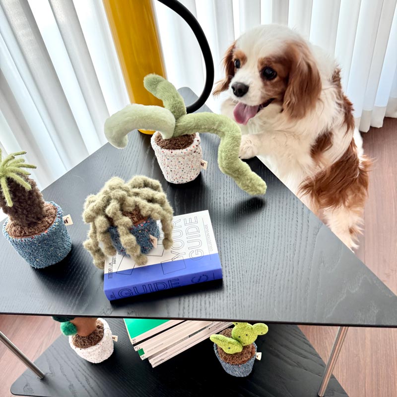 Pot Series Dog Nosework Toy (6 Designs)