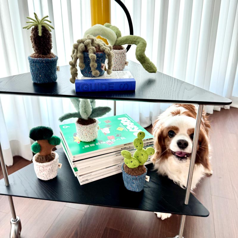 Pot Series Dog Nosework Toy (6 Designs)