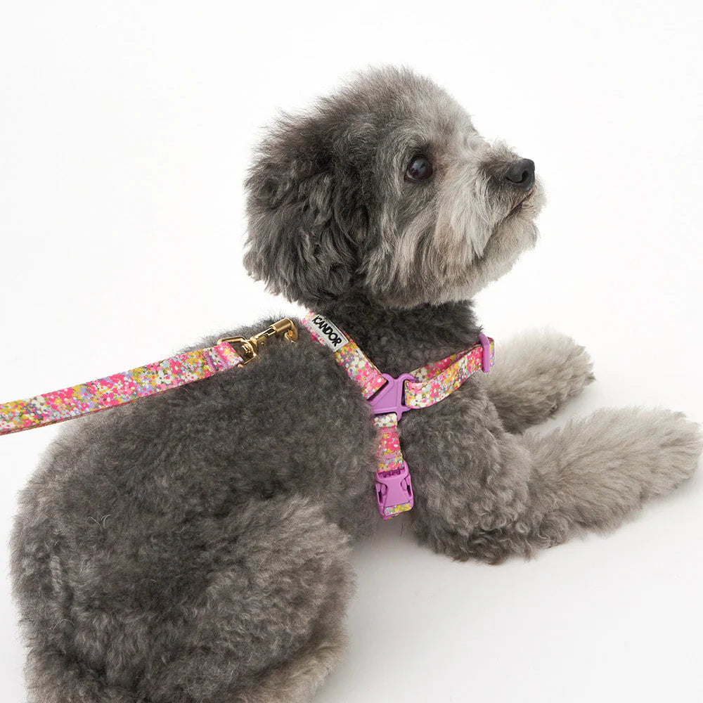 No-Pull Harness | Flora