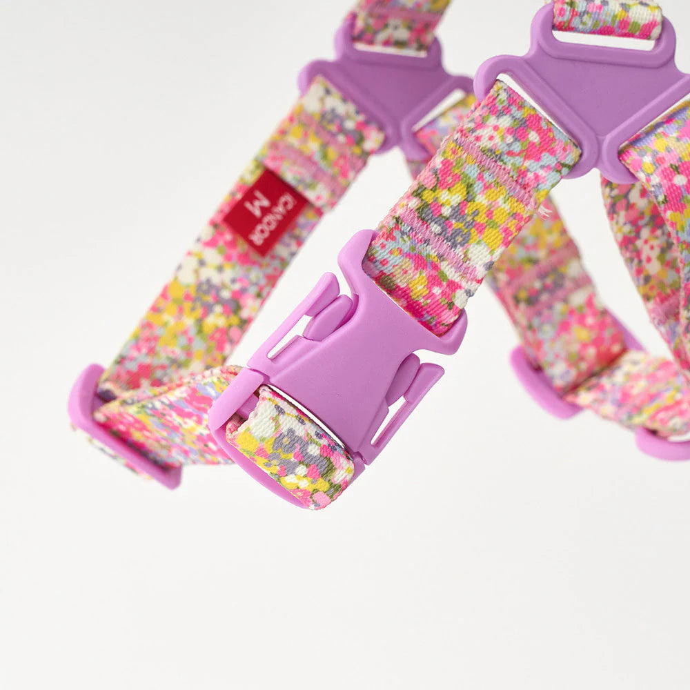 No-Pull Harness | Flora