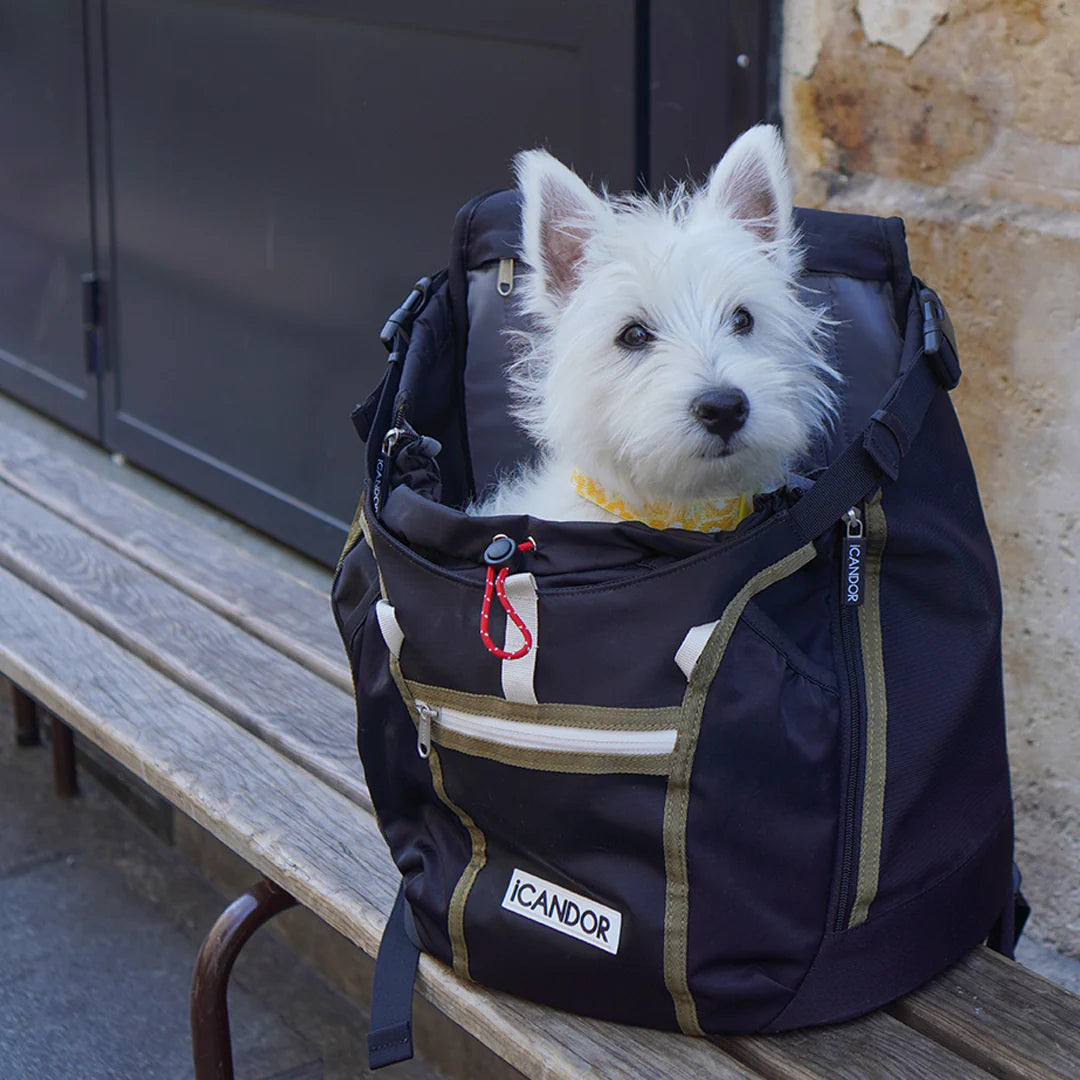 Jige AB Backpack | Woody Black