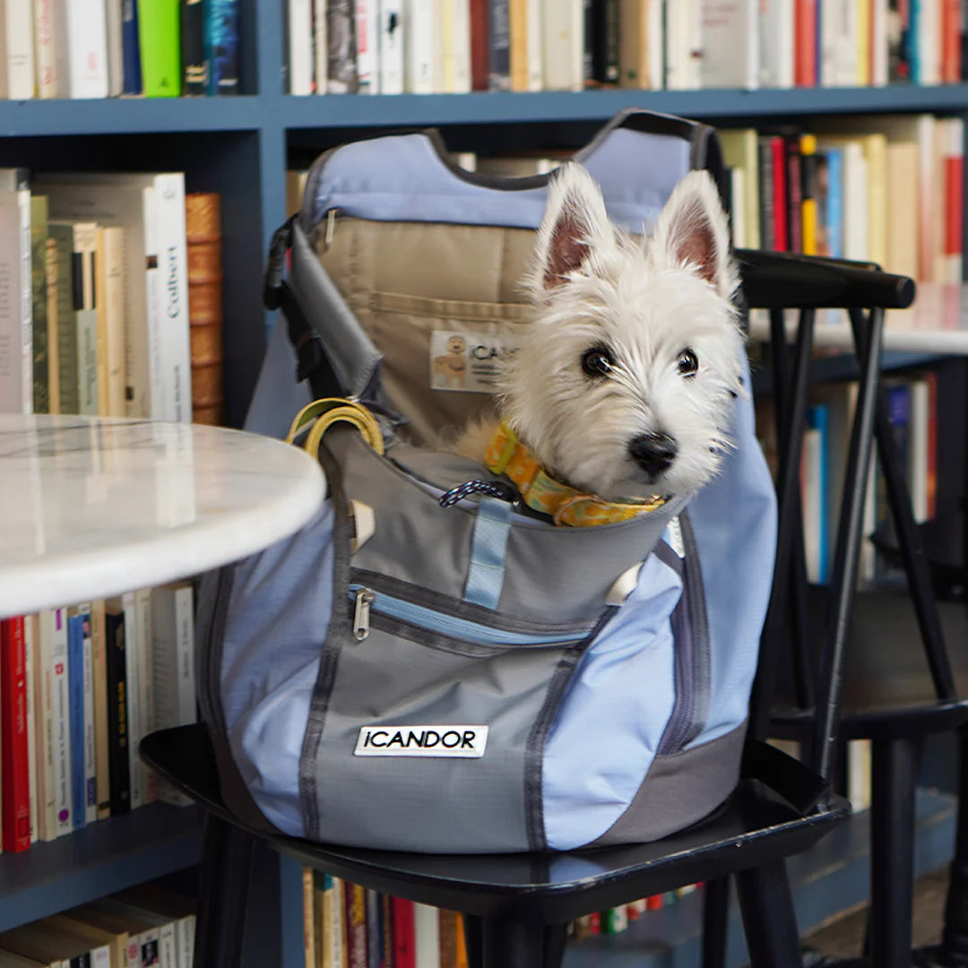 Jige AB Backpack - Pale Blue