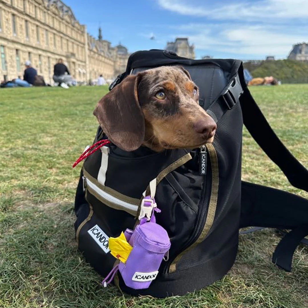 Jige AB Backpack - Woody Black