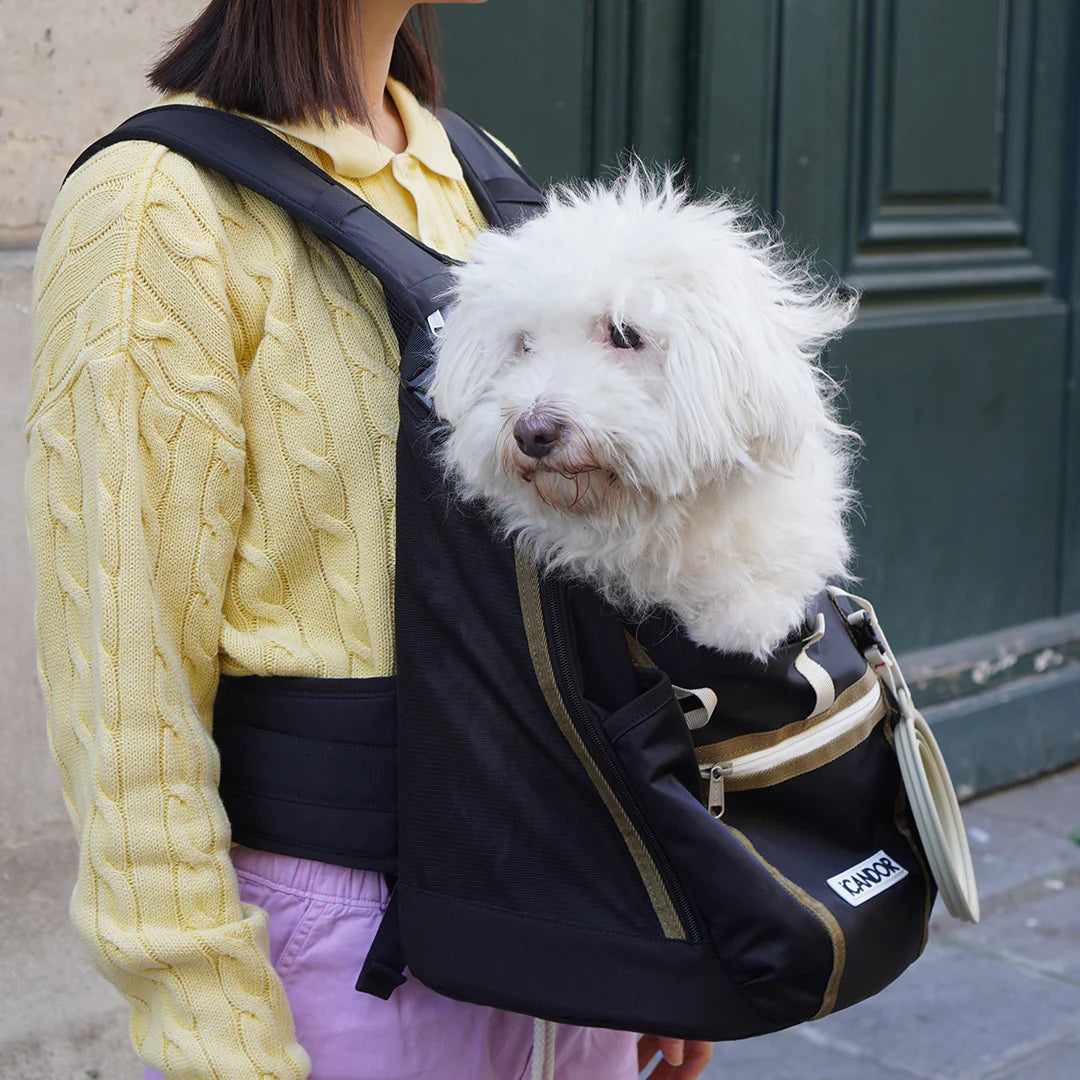 Jige AB Backpack | Woody Black