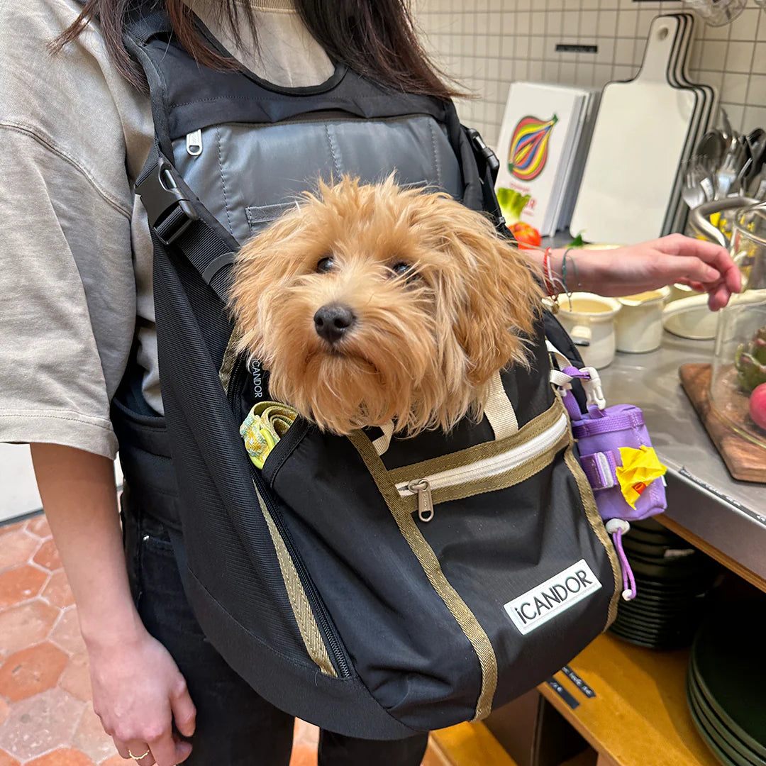 Jige AB Backpack | Woody Black