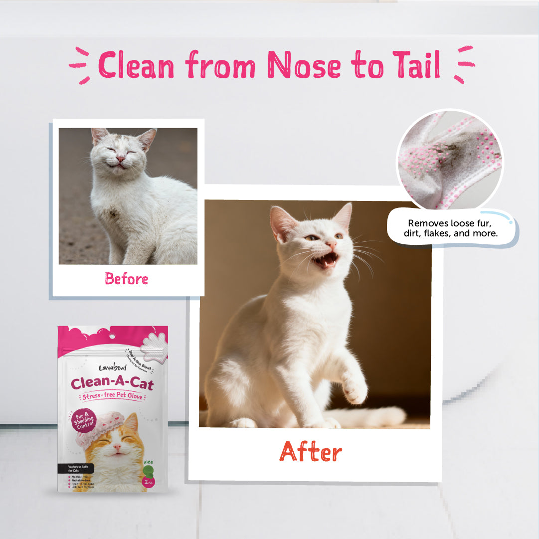 Clean-A-Cat Stress-Free Pet Grooming Gloves (Cactus)