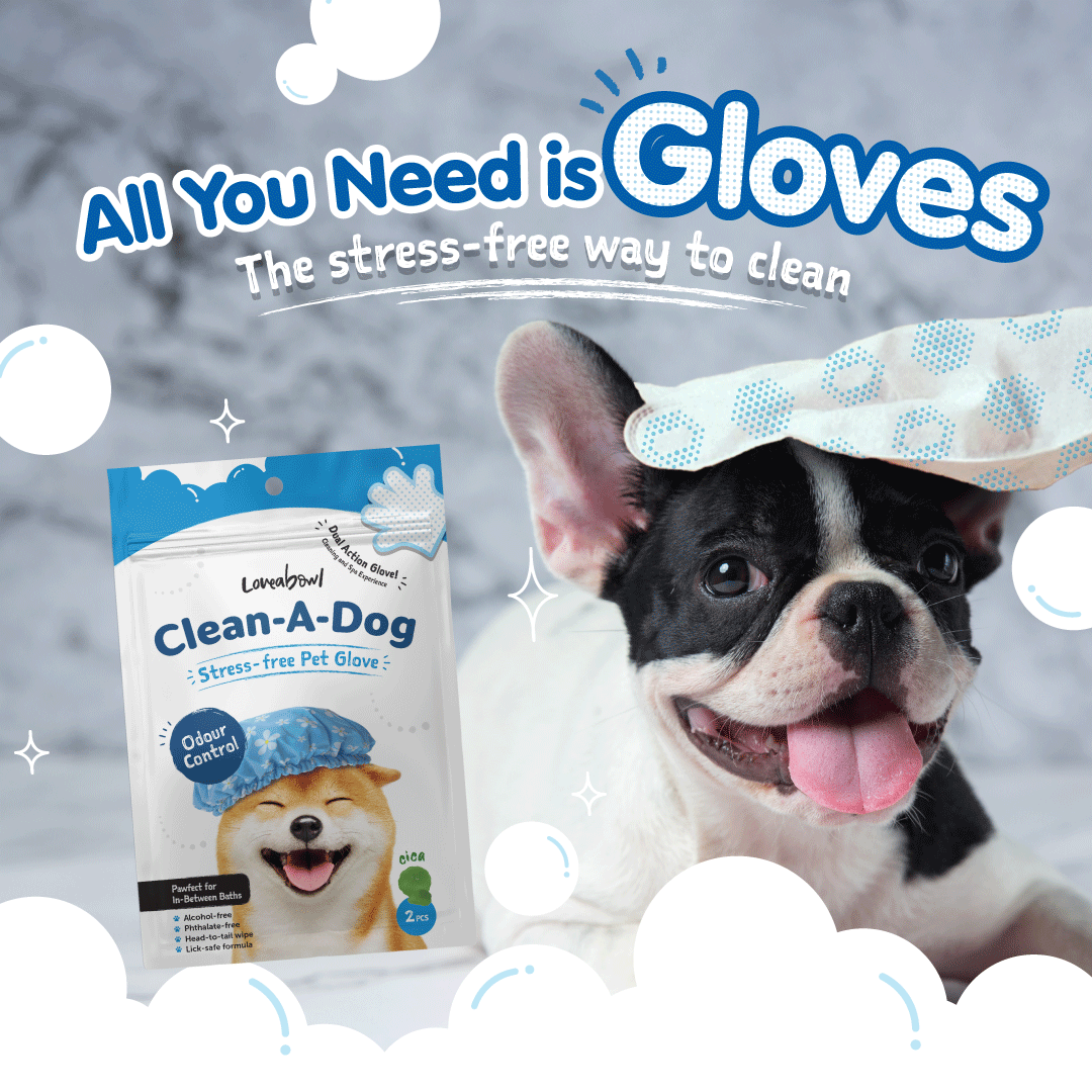 Clean-A-Dog Stress-Free Pet Grooming Gloves (Cherry Blossom)