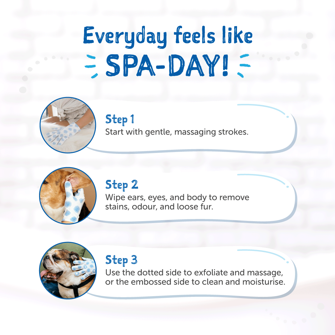 Clean-A-Dog Stress-Free Pet Grooming Gloves (Cherry Blossom)
