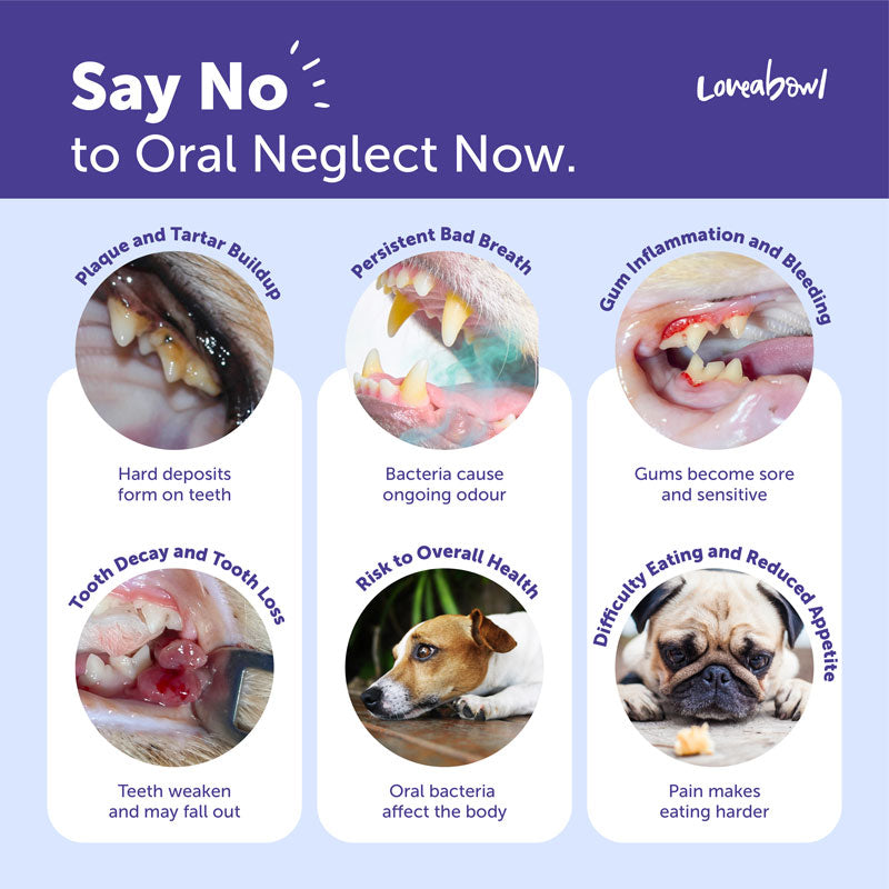 Clean-A-Tooth Dog Dental Cleaning Wipes (50 pcs)