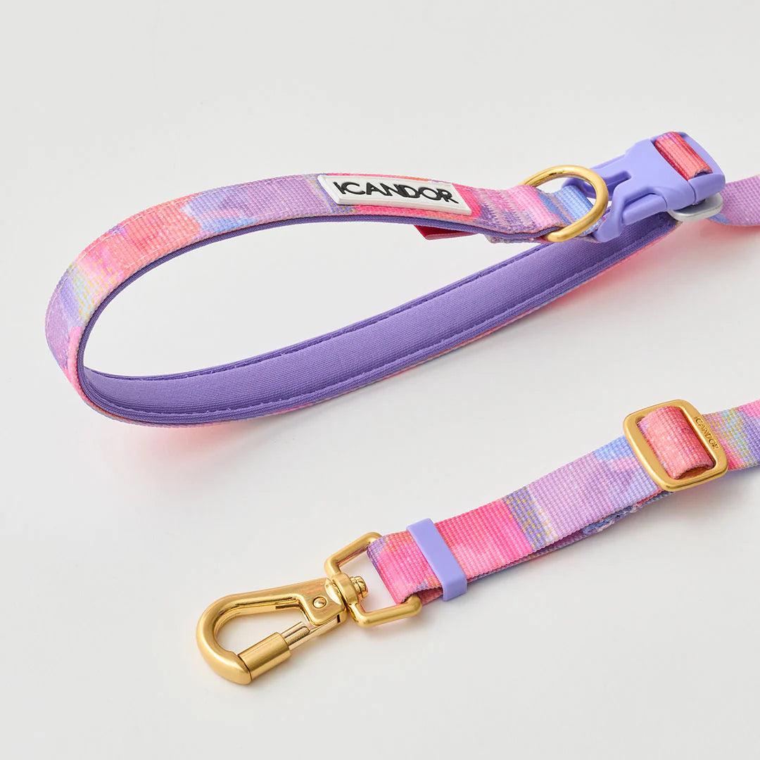 Gentle Multi-Functional Adjustable Bolt Leash – Regular & Hands-Free Walk | Milky Way