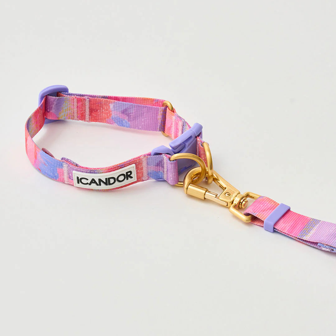 Gentle Multi-Functional Adjustable Bolt Leash – Regular & Hands-Free Walk | Milky Way