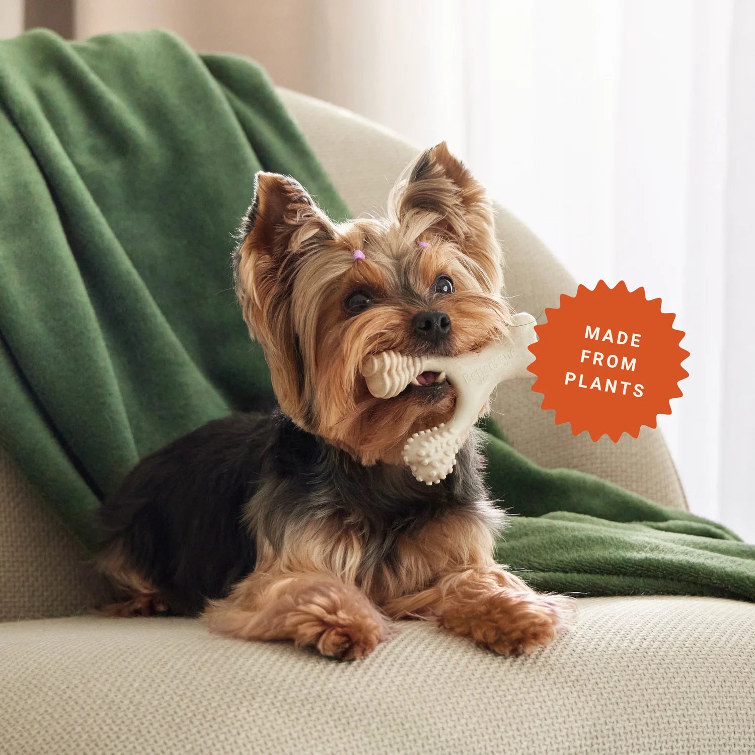BetterBone Natural Dog Chew Toy