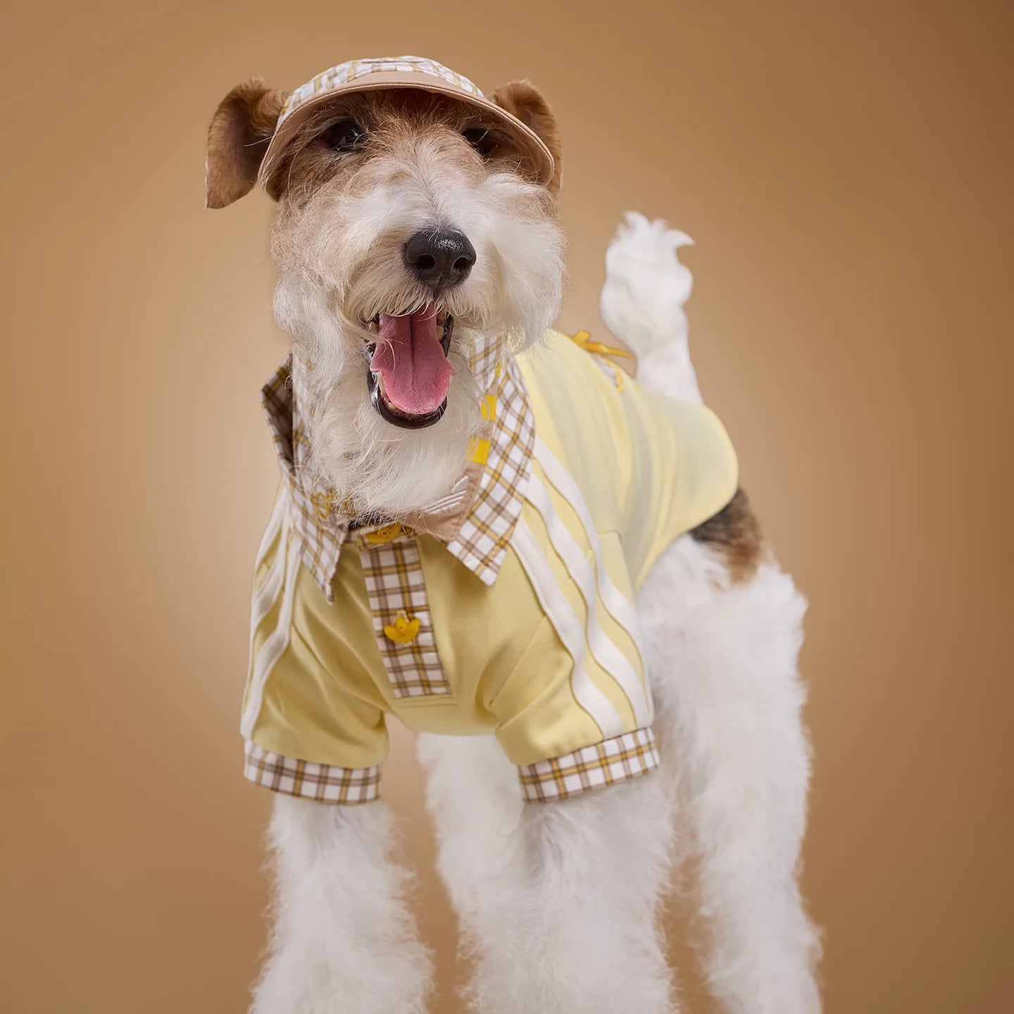 Adidas Plaid Short-Sleeved Pet Polo Shirt (Yellow)