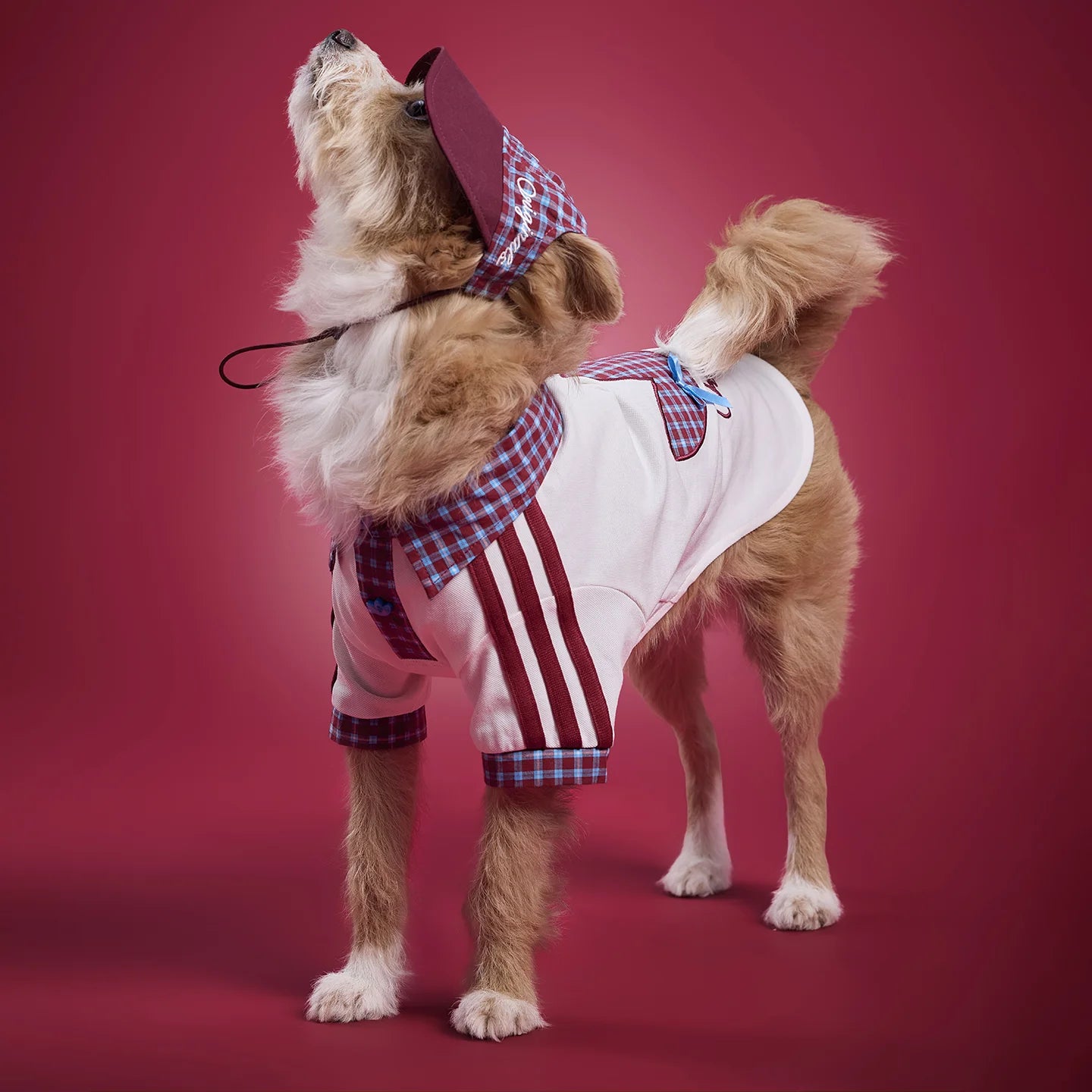 Adidas Plaid Short-Sleeved Pet Polo Shirt (White)