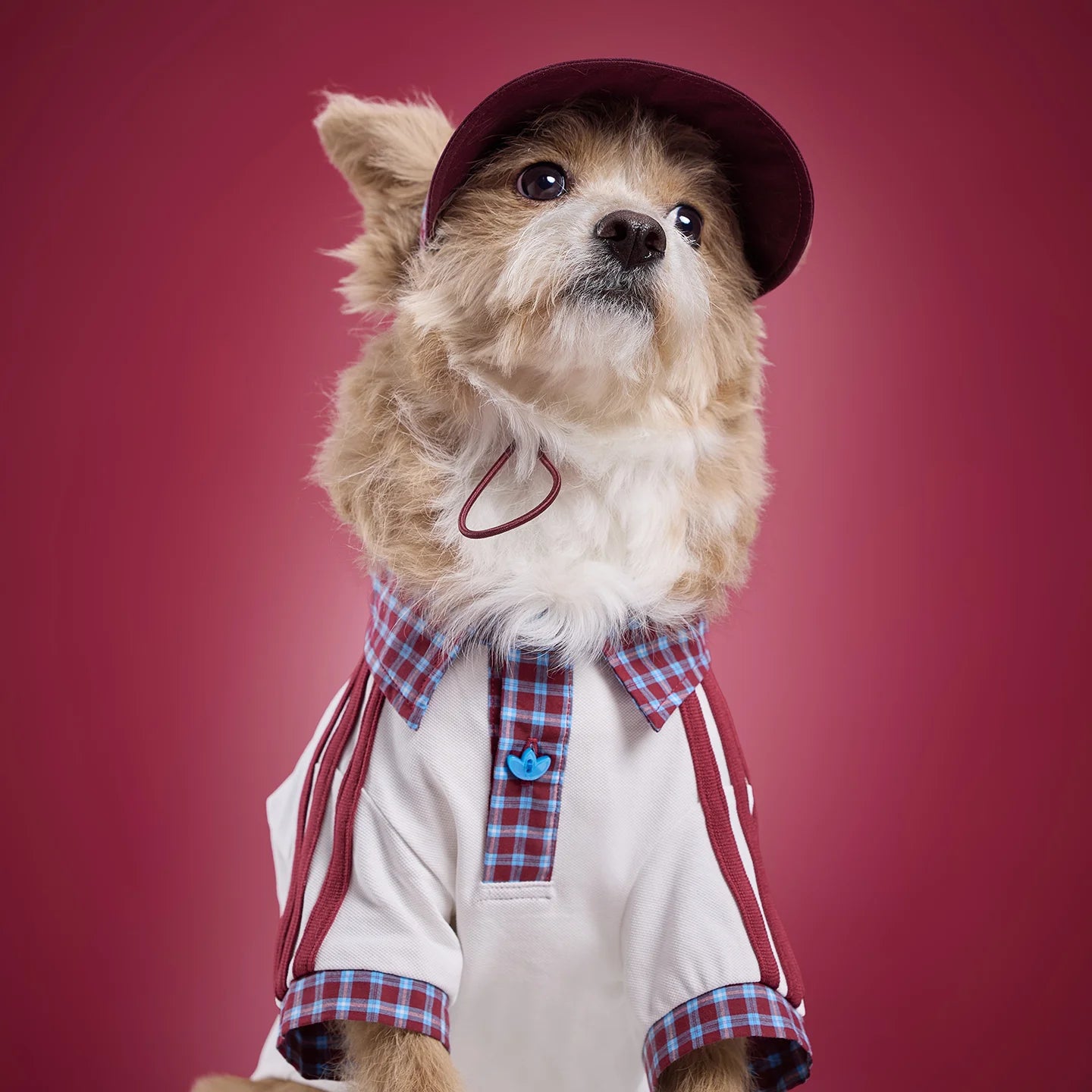 Adidas Pet Plaid Cap (Burgundy)