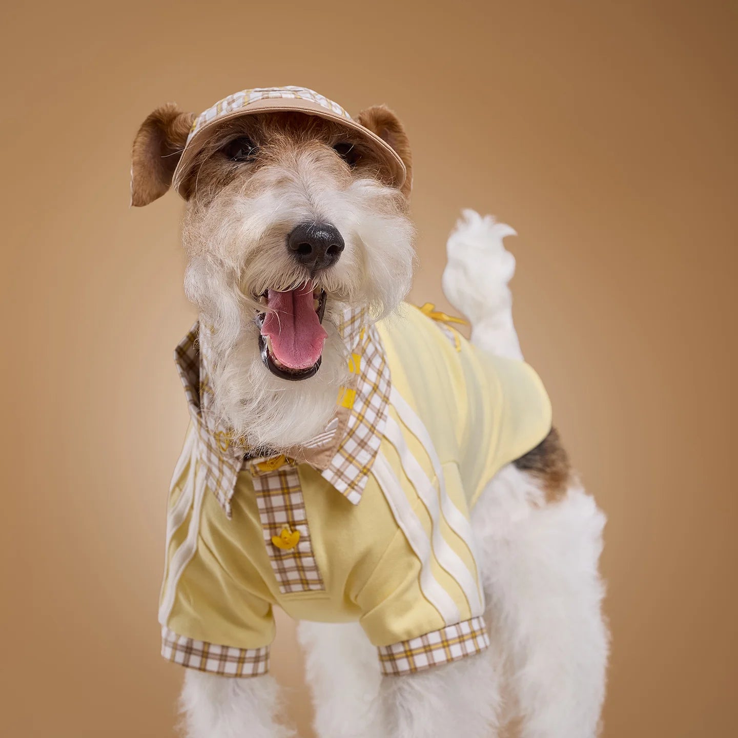 Adidas Pet Plaid Cap (Beige)