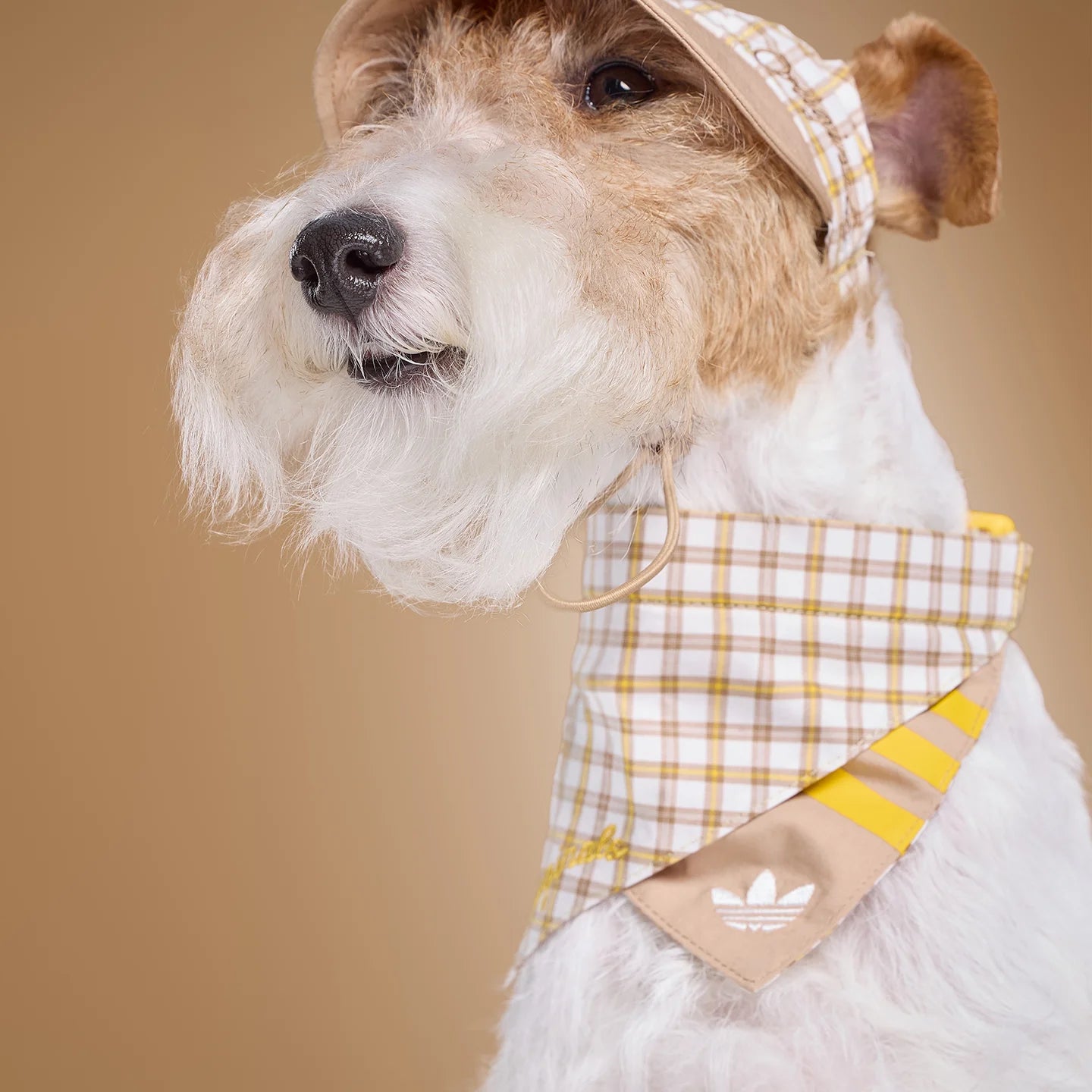 Adidas Pet Plaid Bib (Beige)