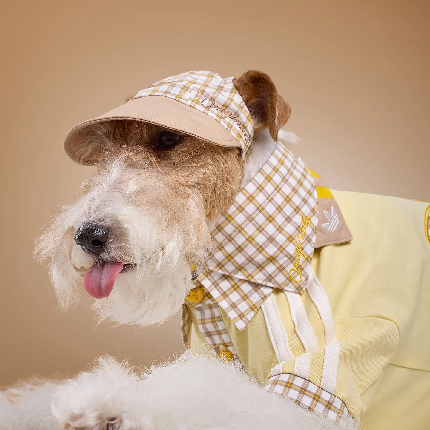 Adidas Pet Plaid Bib (Beige)