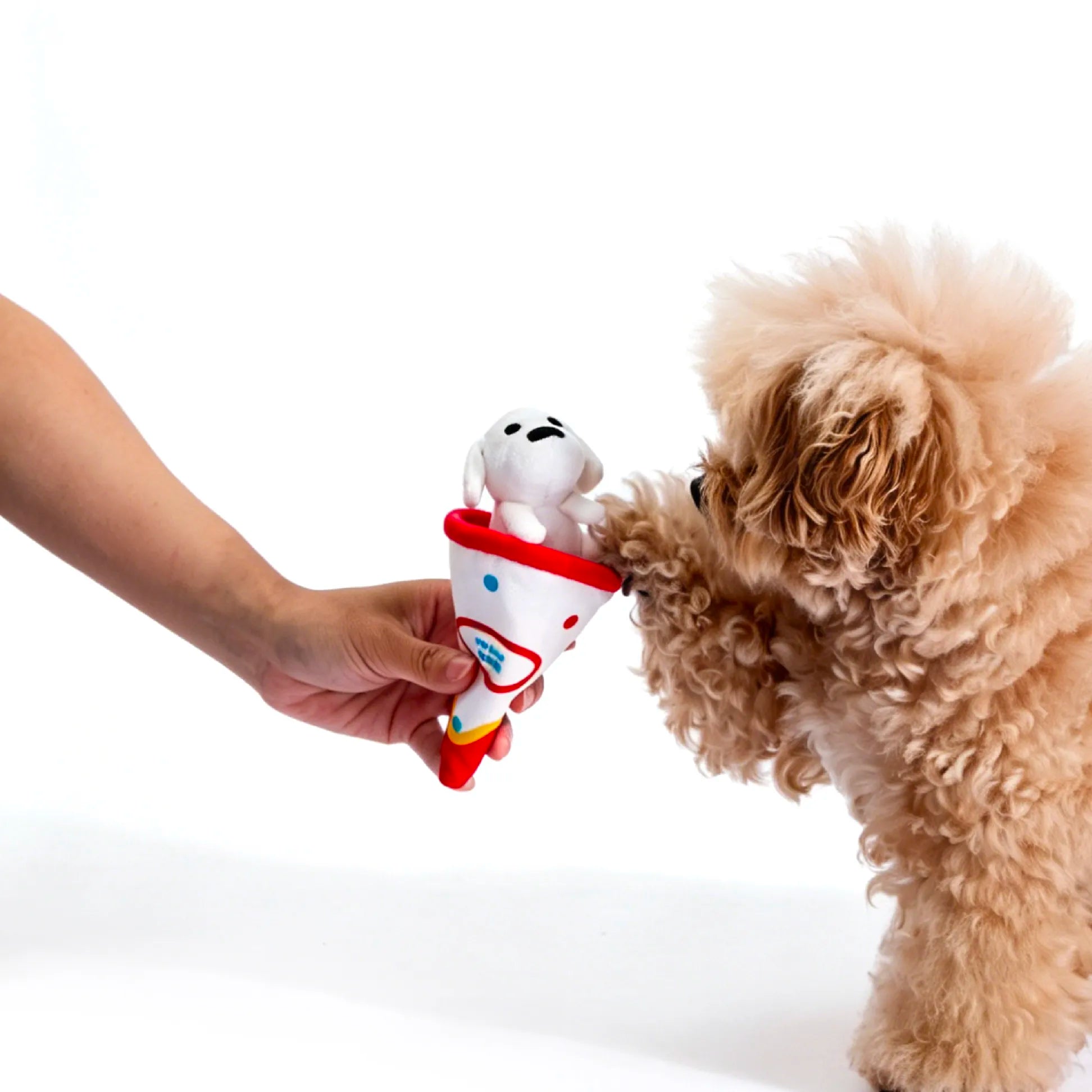 Matsui Dogs x PP Lab Street Food Nosework Toy Blind Box