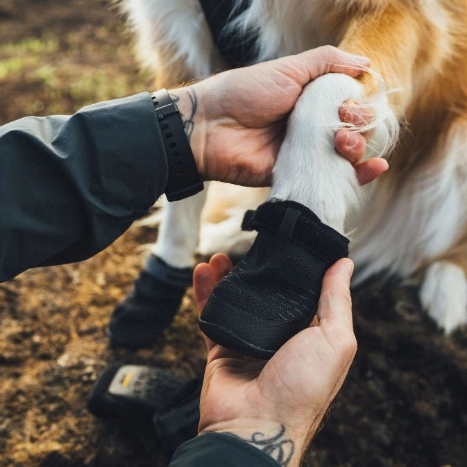 Ridgeline™ Dog Shoes | Obsidian Black