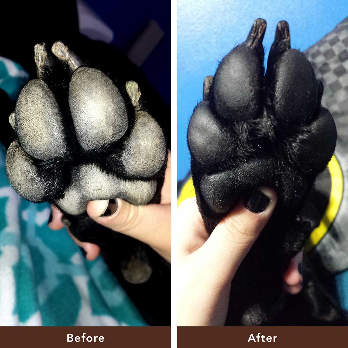 Organic PawTection® Balm