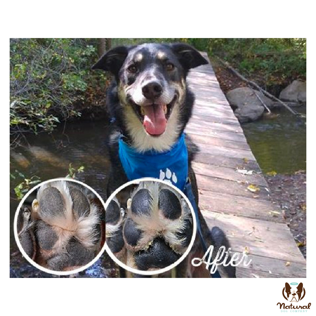 Organic PawTection® Balm